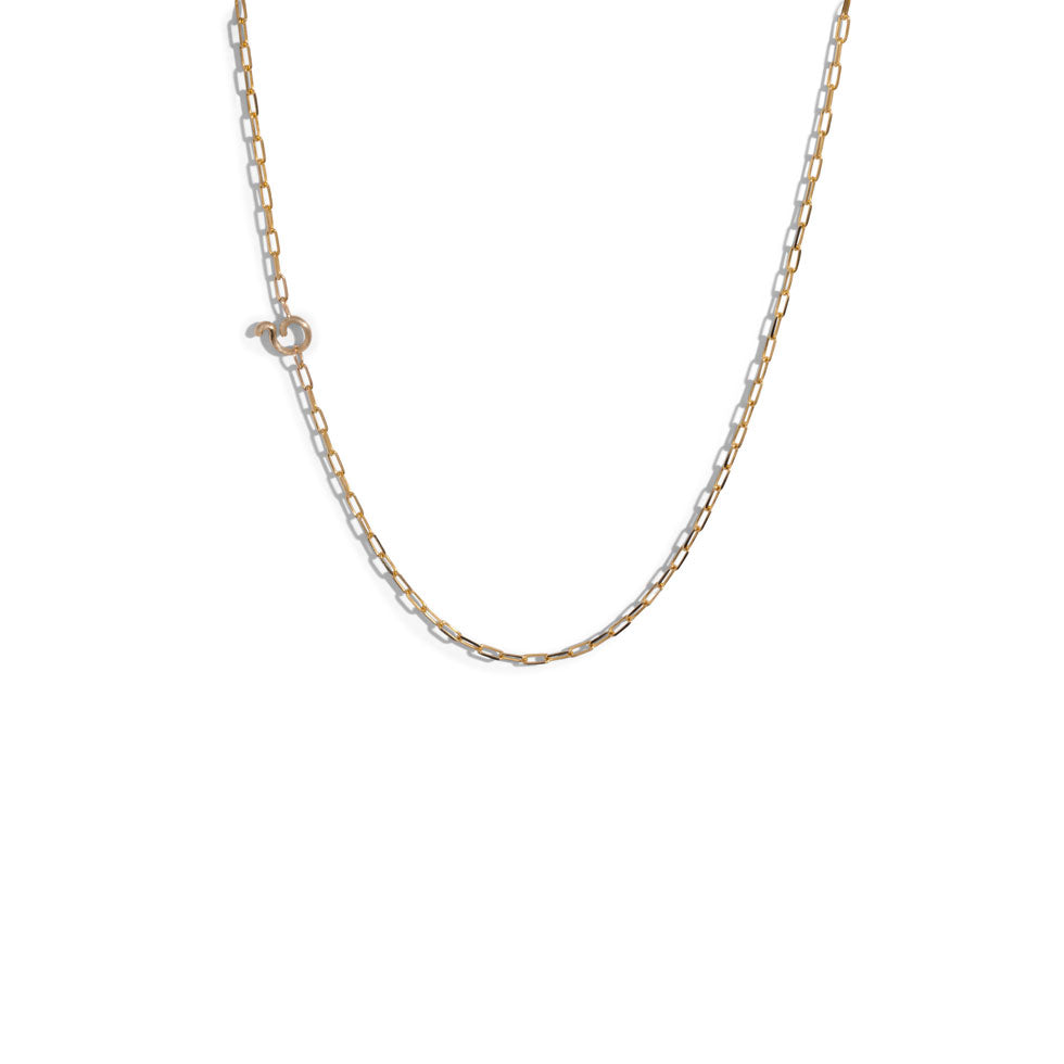 The Mini Everlasting Chain Bleecker & Prince